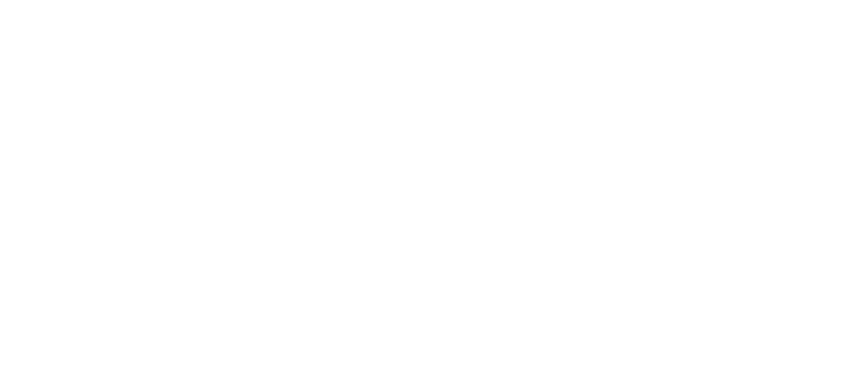 amani forged wheels logo white