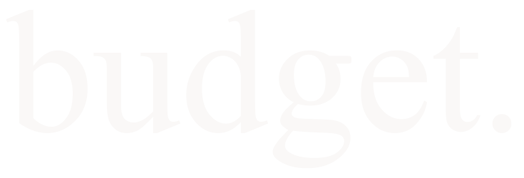 budget web logo white